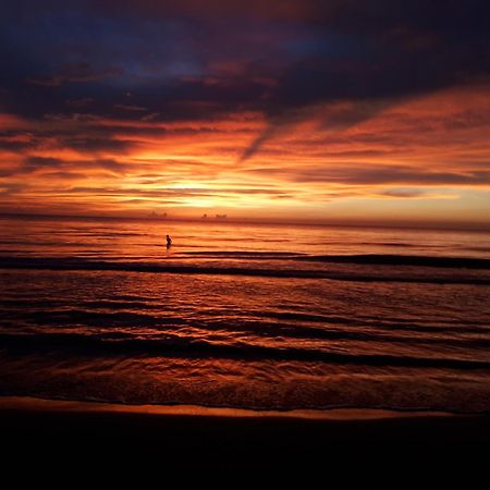 Manzanillo Beach Cartagena المظهر الخارجي الصورة